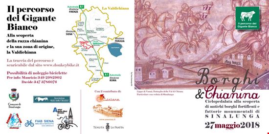 CICLOPEDALATA BORGHI E CHIANINA  Sinalunga